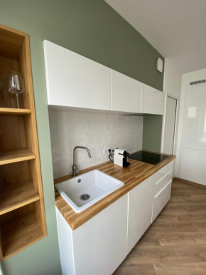 Superbe appartement Moderne Hyper centre de Vittel